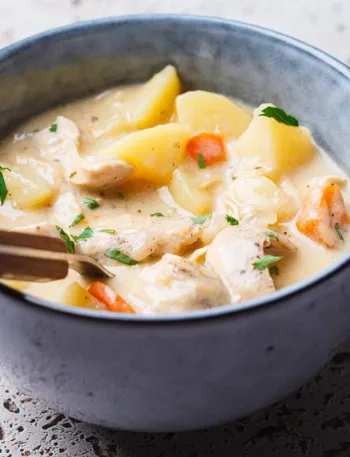 Blanquette de dinde dans un grand bol